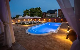 Villa Biser Dunava - Pool & River View